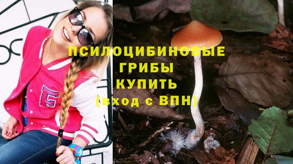 дурь Белоозёрский