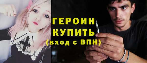 гидра Богородицк