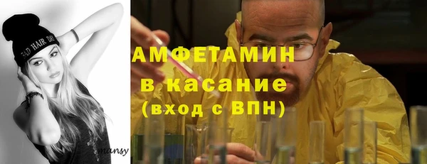 гидра Богородицк