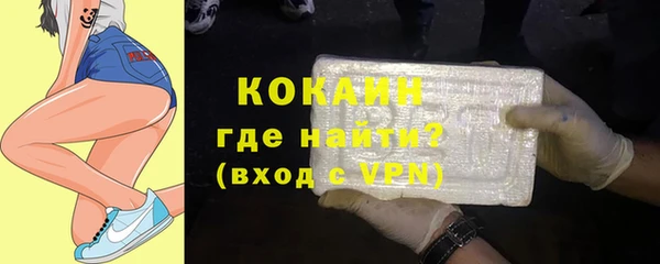 гашик Богданович