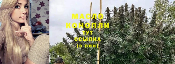 дмт Богородск