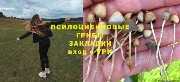 гашик Богданович