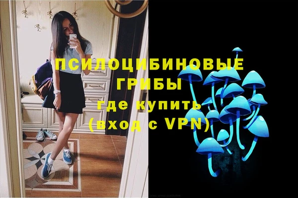 дурь Белоозёрский