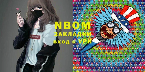 гидра Богородицк