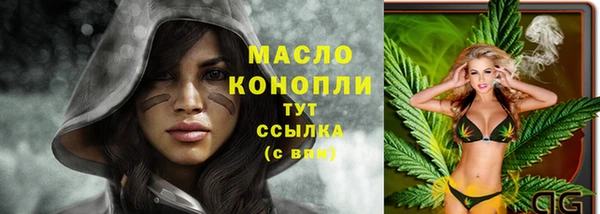 гидра Богородицк